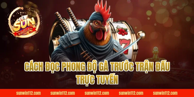 Cách Đọc Phong Độ Gà Trước Trận Đấu Trực Tuyến