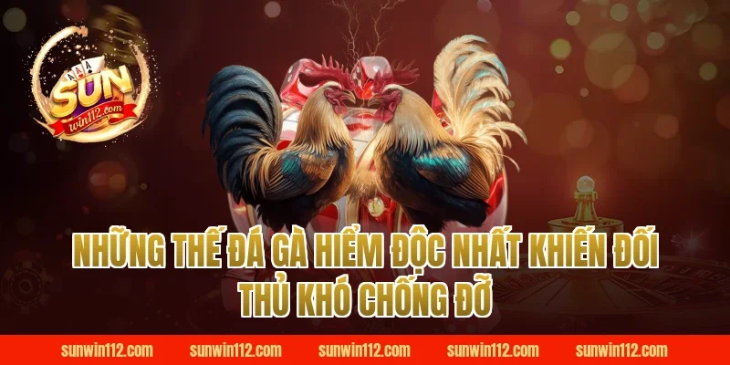 Những Thế Đá Gà Hiểm Độc Nhất Khiến Đối Thủ Khó Chống Đỡ
